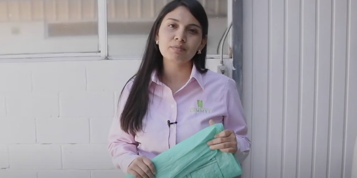 Jessica González, coordinadora de Investigación del CIMMYT, explica cómo reparar bolsas plásticas herméticas para garantizar la conservación de granos y proteger la calidad de las cosechas. (Foto: CIMMYT)